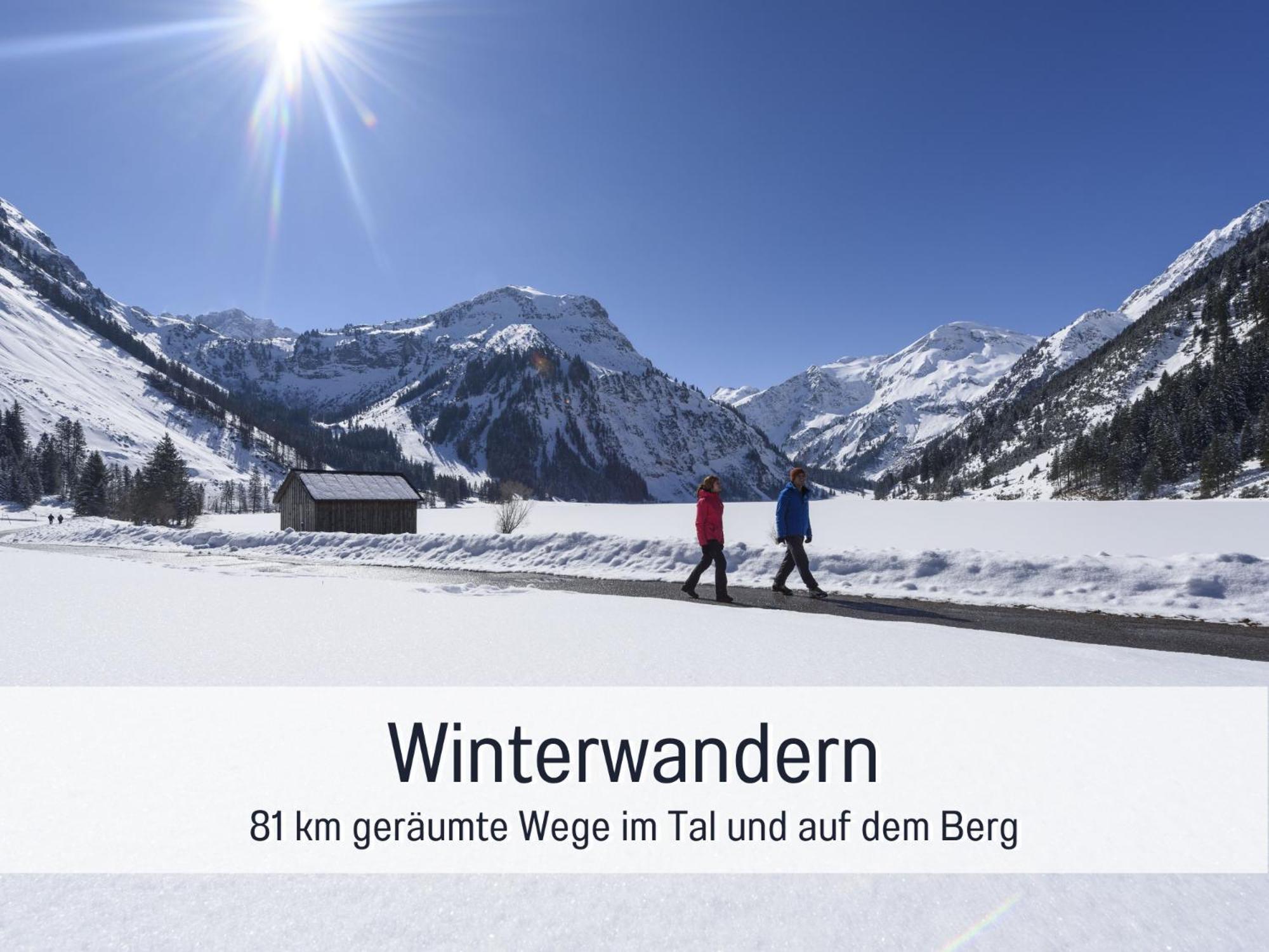 Apartments Tannheim - Bei Birgit Mariacher - Inklusive Sommerbergbahnen - Infrarotsauna & Broetchenservice - Zentral Mit Bergblick Esterno foto